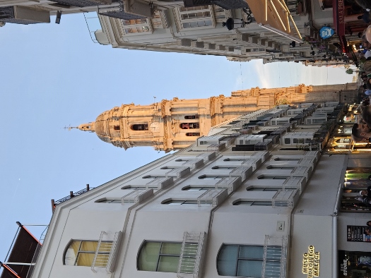 Santa Iglesia Catedral Basílica de la Encarnación