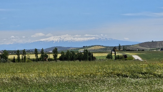 Auf dem Weg in die Sierra Nevada