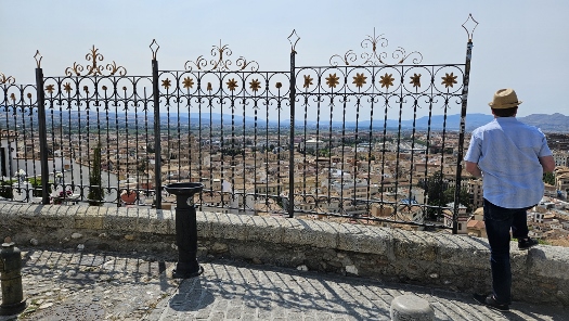 Blick über Granada
