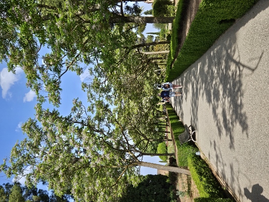 Jardines del Partal Alto de la Alhambra