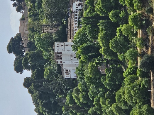 Blick auf Genaralife