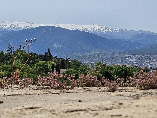 Sommer mit Schnee auf den Bergen