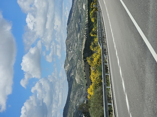 Entlang der Sierra Subbética