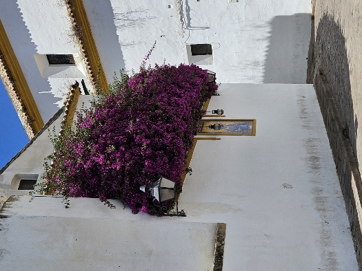 Soho Boutique Capuchinos & Spa