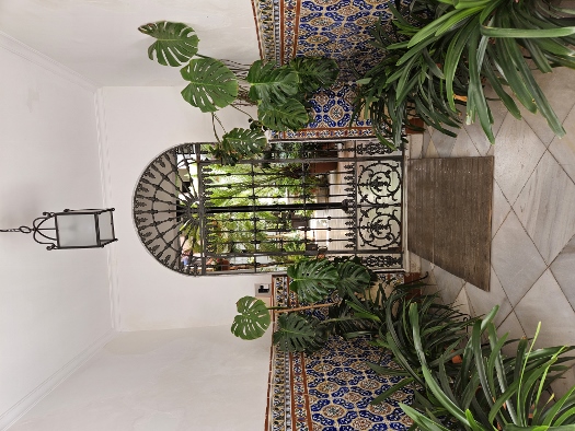 Die Patio von Córdoba