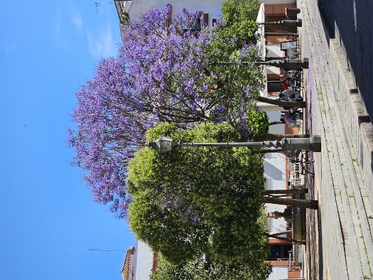 Abseits der Touristenpfade