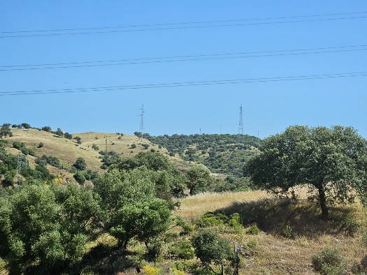 Übers Land und durchs Gemüse