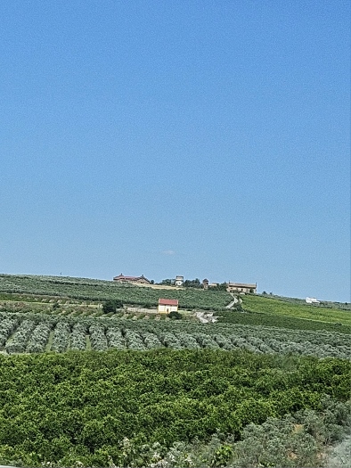 Viel Landschaft hier