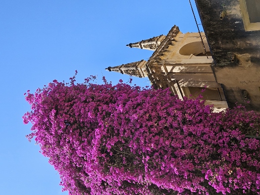 Barrio de Santa Cruz