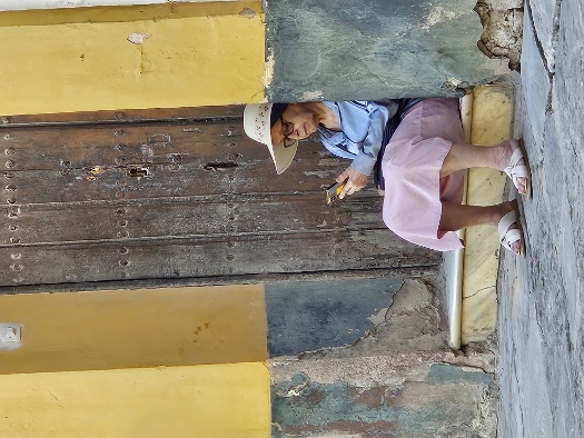 Barrio de Santa Cruz