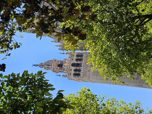 Giralda - halb im Verborgenen