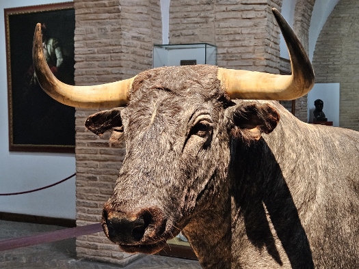 Plaza de toros de la Real Maestranza de Caballería de Sevilla
