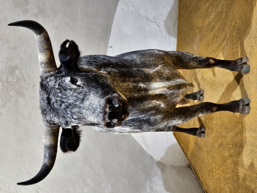 Plaza de toros de la Real Maestranza de Caballería de Sevilla