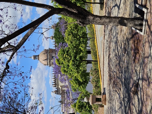 Catedral de Jerez de la Frontera