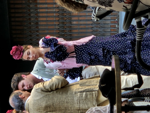 Wenn der Andalusier feiert...