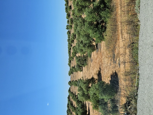 Auf dem Weg in die Berge