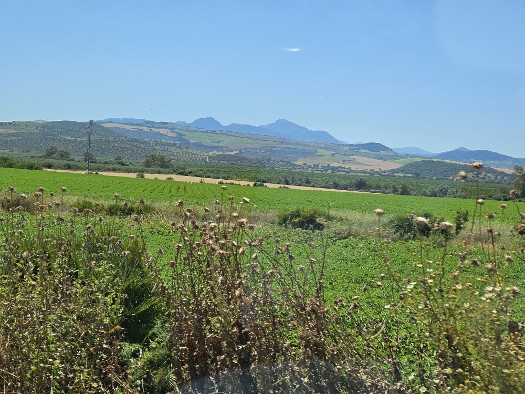 Auf dem Weg in die Berge