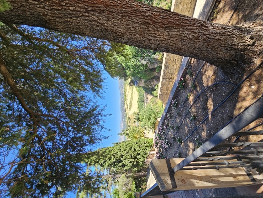 Traumhafte Ausblicke