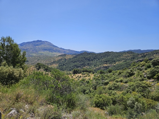 Sierra de las Nieves