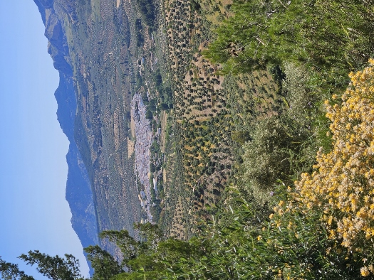 Sierra de las Nieves