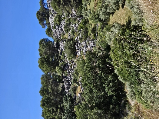 Sierra de las Nieves
