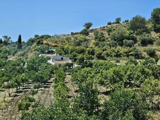 Sierra de las Nieves