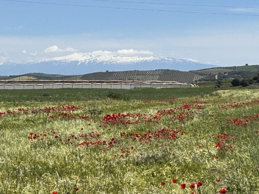 Auf dem Weg in die Sierra Nevada