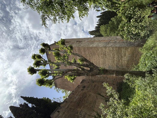 Von unten nach oben schauen