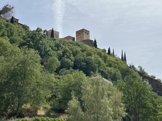 Von ganz unten nach ganz oben schauen