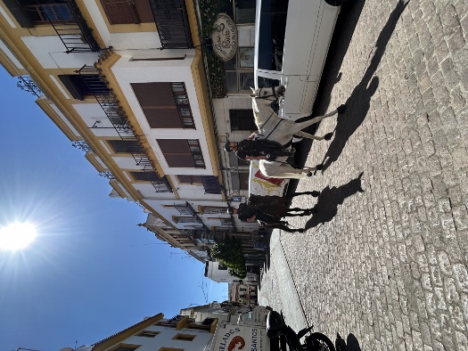 Berittene Staatsmacht