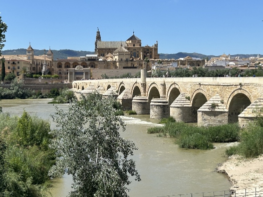 Puente Romano mit der Mezquita im Hintergrund