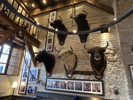 Große Helden ihres Genres