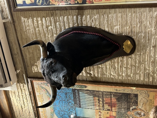 Mißmutiger (weil toter) Geselle