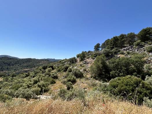 Sierra de las Nieves