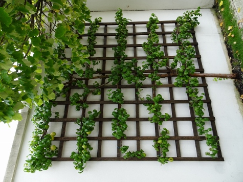 Bratislava 2022 - die Burg (Bratislavský hrad)