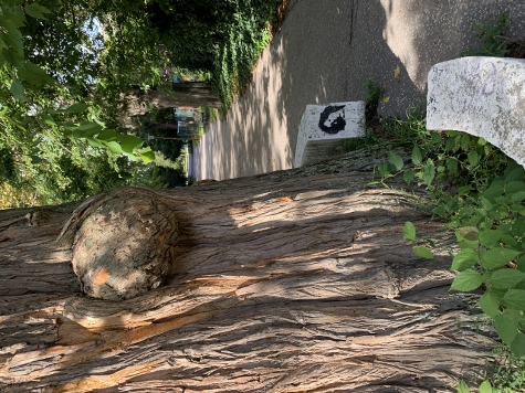 Bratislava 2022 - Sad Janka Král'a Park