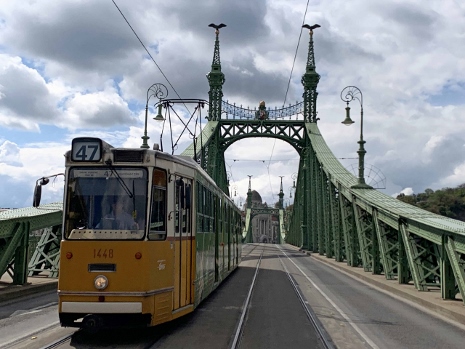 Budapest 2022 - Freiheitsbrücke