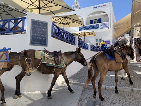 Santorini - Eindrücke aus Fira