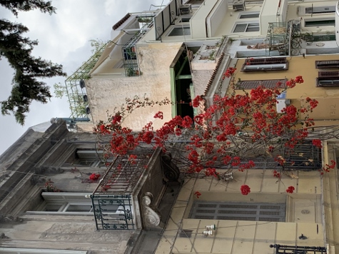 Athen - Da wächst was