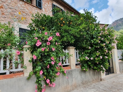 Sóller / Port de Sóller