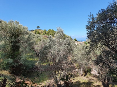 Sóller / Port de Sóller