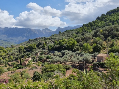 Sóller / Port de Sóller