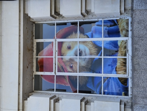 Paddington Bear everywhere