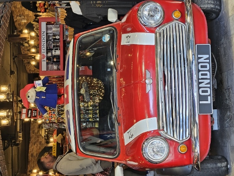 Paddington Bear everywhere