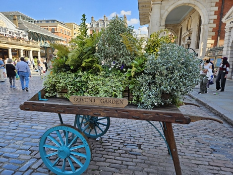 Covent Garden