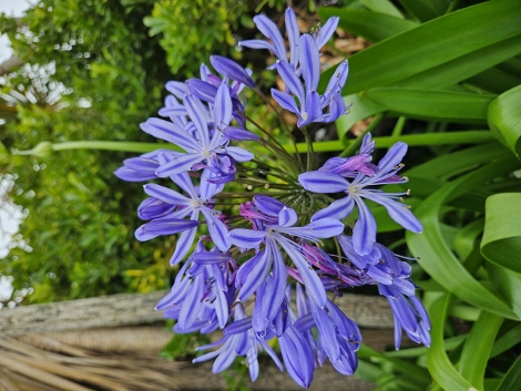 Impressionen aus St. Ives