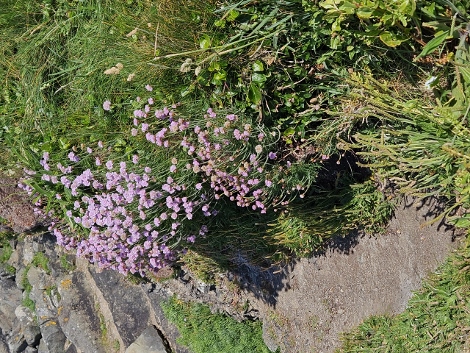 Impressionen aus St. Ives