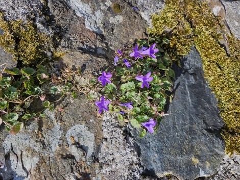 Impressionen aus St. Ives