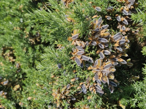 Impressionen aus St. Ives