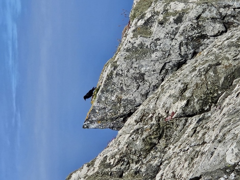 South West Coast Path - der gemütliche Anfang